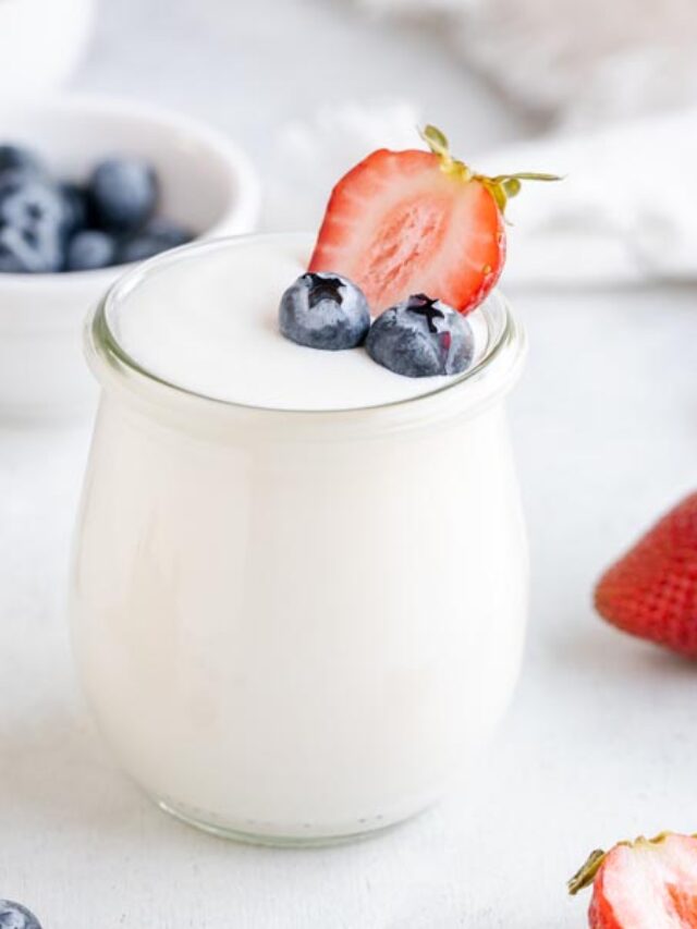 How To Make Keto Yogurt Ketofocus 3645