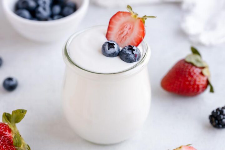 Easy Keto Yogurt from Home