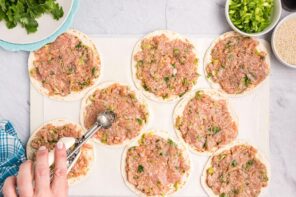 Chicken dumpling mixture smashed into low carb tortillas.